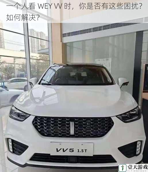 一个人看 WEY VV 时,你是否有这些困扰?如何解决?