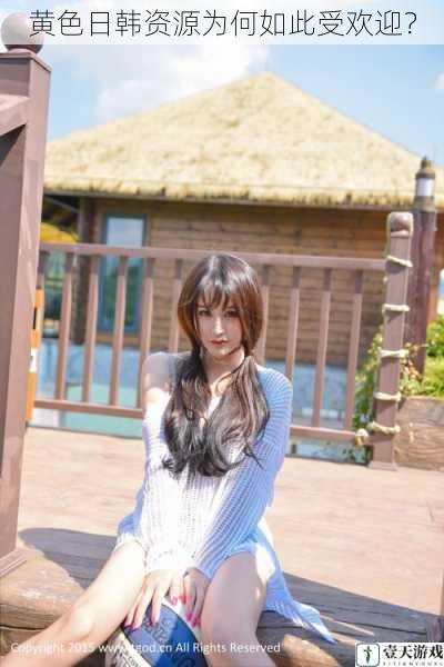 黄色日韩资源为何如此受欢迎?