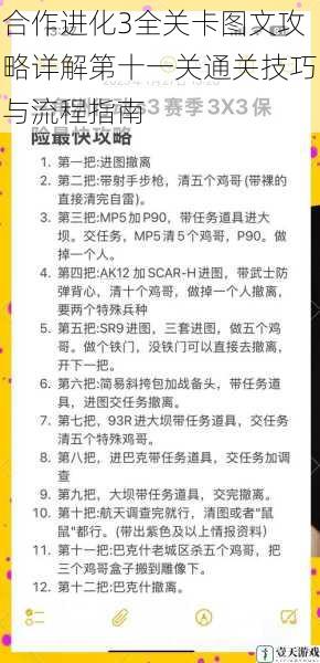 合作进化3全关卡图文攻略详解第十一关通关技巧与流程指南