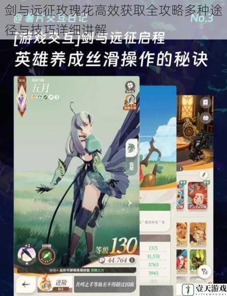 剑与远征玫瑰花高效获取全攻略多种途径与技巧详细讲解