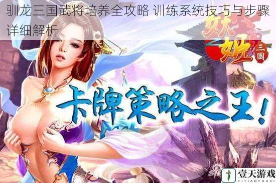 驯龙三国武将培养全攻略 训练系统技巧与步骤详细解析