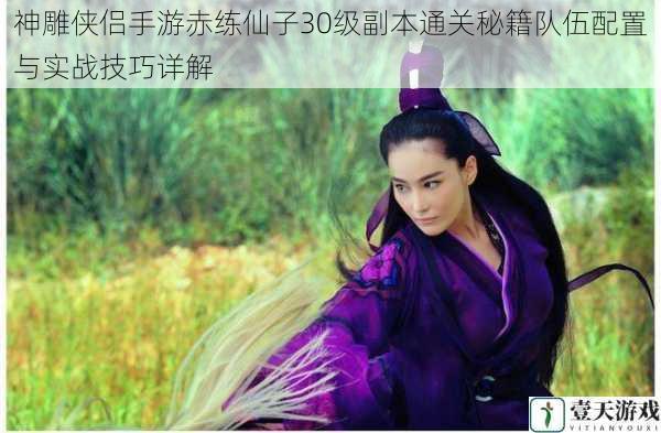 神雕侠侣手游赤练仙子30级副本通关秘籍队伍配置与实战技巧详解