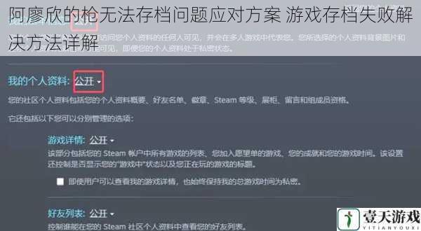 阿廖欣的枪无法存档问题应对方案 游戏存档失败解决方法详解