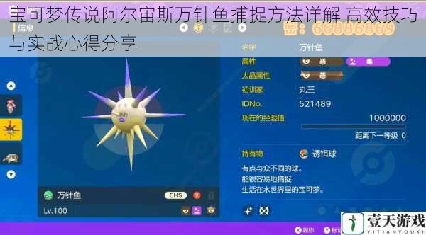 宝可梦传说阿尔宙斯万针鱼捕捉方法详解 高效技巧与实战心得分享