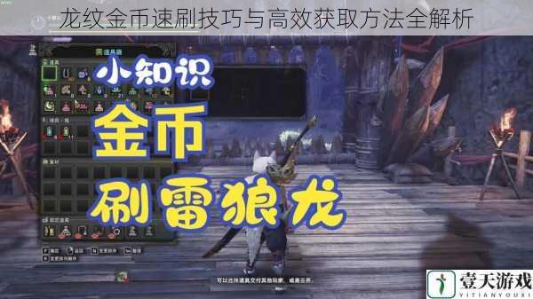 龙纹金币速刷技巧与高效获取方法全解析
