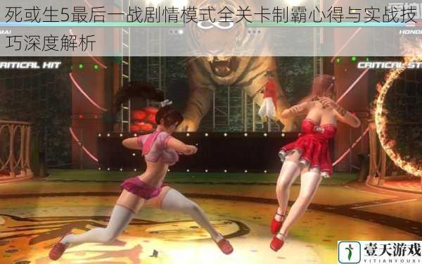 死或生5最后一战剧情模式全关卡制霸心得与实战技巧深度解析