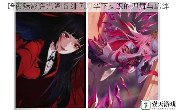 暗夜魅影辉光降临 绯色月华下交织的刃舞与羁绊