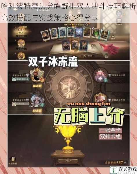 哈利波特魔法觉醒野排双人决斗技巧解析高效搭配与实战策略心得分享