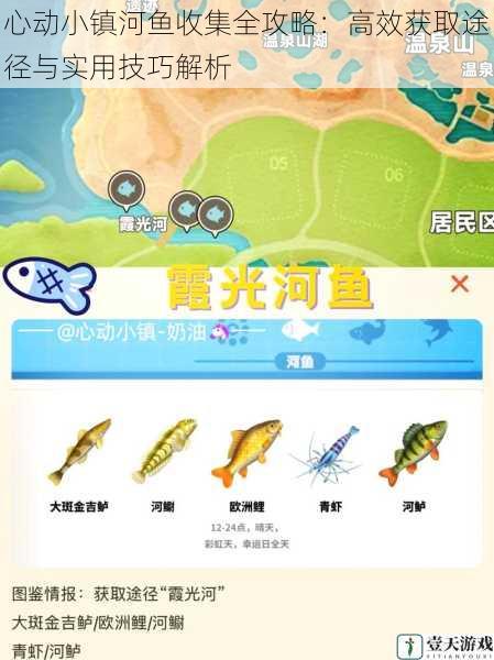 心动小镇河鱼收集全攻略:高效获取途径与实用技巧解析