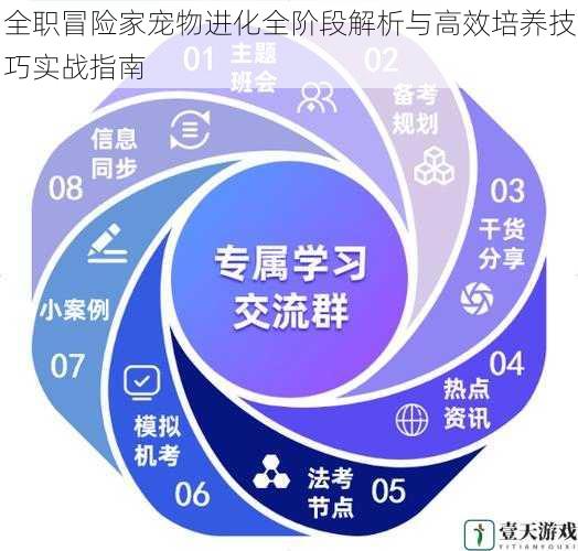 全职冒险家宠物进化全阶段解析与高效培养技巧实战指南