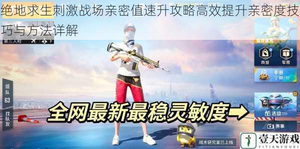 绝地求生刺激战场亲密值速升攻略高效提升亲密度技巧与方法详解