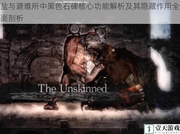 盐与避难所中黑色石碑核心功能解析及其隐藏作用全面剖析