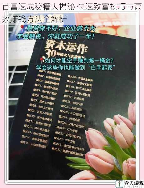 首富速成秘籍大揭秘 快速致富技巧与高效赚钱方法全解析
