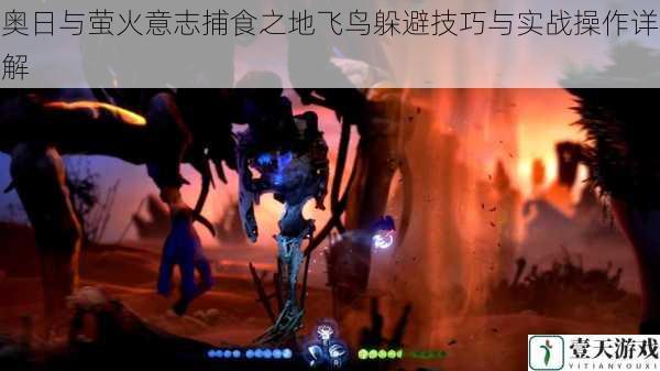 奥日与萤火意志捕食之地飞鸟躲避技巧与实战操作详解