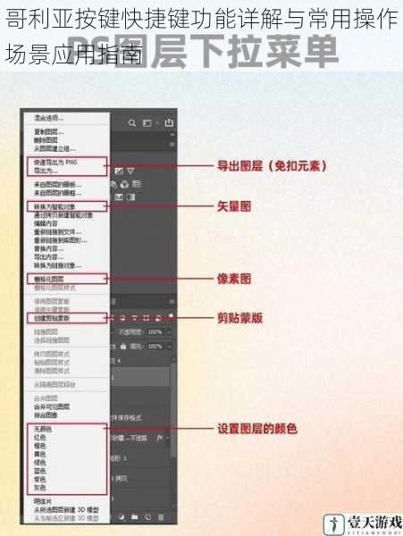 哥利亚按键快捷键功能详解与常用操作场景应用指南