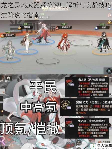 龙之灵域武器系统深度解析与实战技巧进阶攻略指南