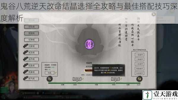 鬼谷八荒逆天改命结晶选择全攻略与最佳搭配技巧深度解析