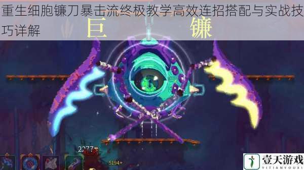 重生细胞镰刀暴击流终极教学高效连招搭配与实战技巧详解