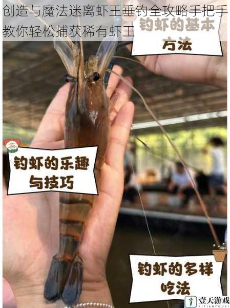 创造与魔法迷离虾王垂钓全攻略手把手教你轻松捕获稀有虾王