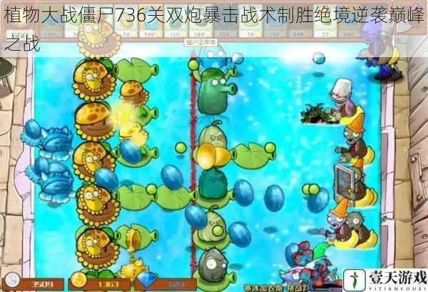 植物大战僵尸736关双炮暴击战术制胜绝境逆袭巅峰之战