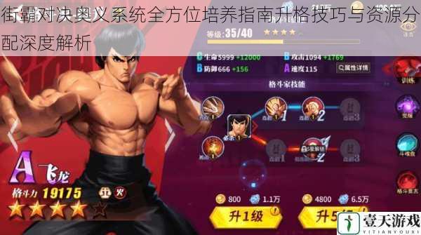 街霸对决奥义系统全方位培养指南升格技巧与资源分配深度解析