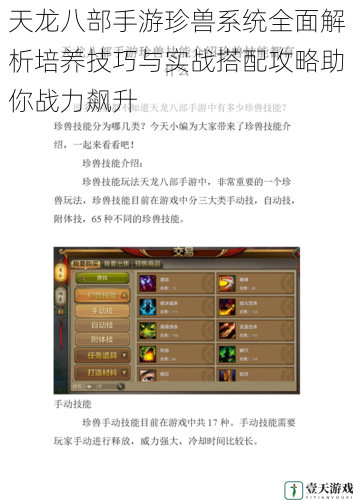 天龙八部手游珍兽系统全面解析培养技巧与实战搭配攻略助你战力飙升