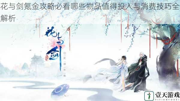花与剑氪金攻略必看哪些物品值得投入与消费技巧全解析