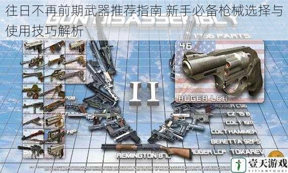 往日不再前期武器推荐指南 新手必备枪械选择与使用技巧解析