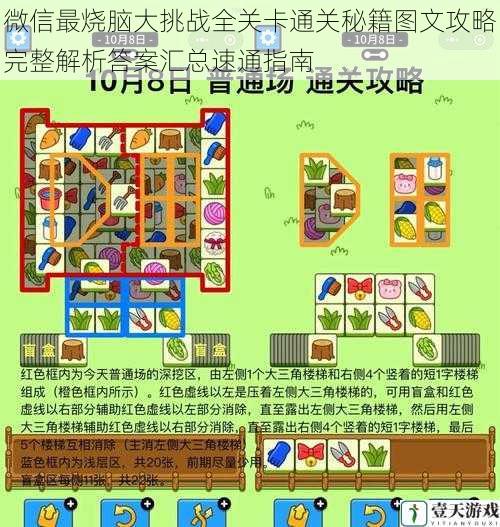 微信最烧脑大挑战全关卡通关秘籍图文攻略完整解析答案汇总速通指南