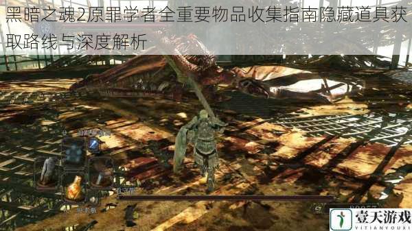 黑暗之魂2原罪学者全重要物品收集指南隐藏道具获取路线与深度解析