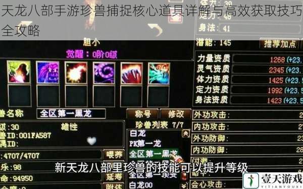 天龙八部手游珍兽捕捉核心道具详解与高效获取技巧全攻略