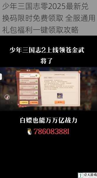 少年三国志零2025最新兑换码限时免费领取 全服通用礼包福利一键领取攻略
