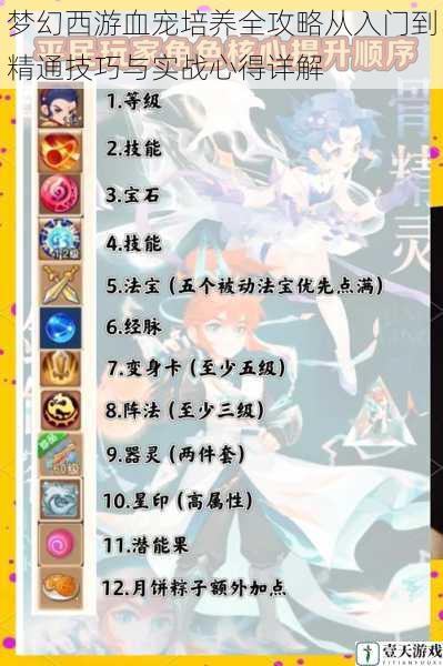 梦幻西游血宠培养全攻略从入门到精通技巧与实战心得详解