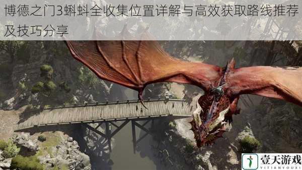 博德之门3蝌蚪全收集位置详解与高效获取路线推荐及技巧分享