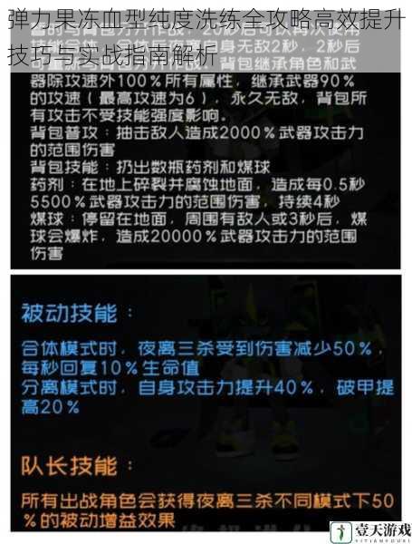 弹力果冻血型纯度洗练全攻略高效提升技巧与实战指南解析