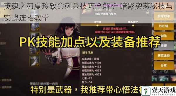 英魂之刃夏玲致命刺杀技巧全解析 暗影突袭秘技与实战连招教学