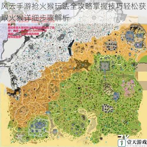 风云手游抢火猴玩法全攻略掌握技巧轻松获取火猴详细步骤解析