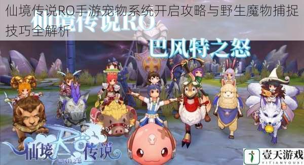 仙境传说RO手游宠物系统开启攻略与野生魔物捕捉技巧全解析