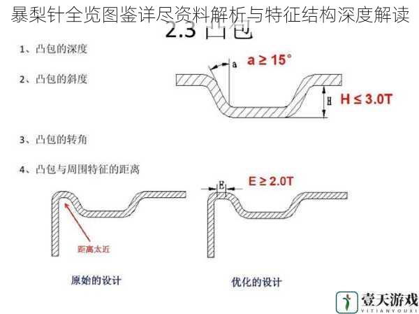 暴梨针全览图鉴详尽资料解析与特征结构深度解读