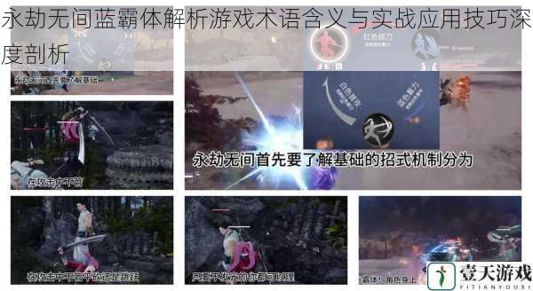 永劫无间蓝霸体解析游戏术语含义与实战应用技巧深度剖析