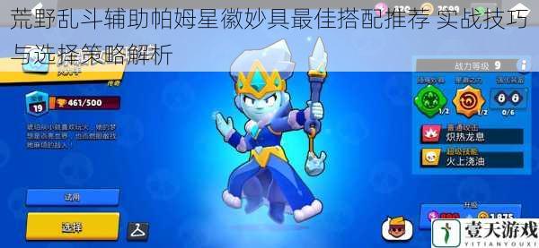 荒野乱斗辅助帕姆星徽妙具最佳搭配推荐 实战技巧与选择策略解析