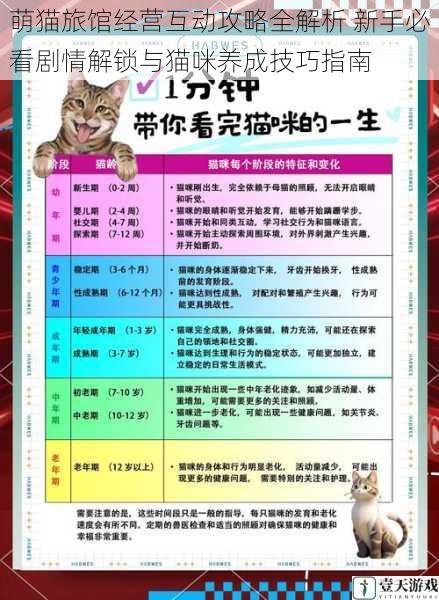 萌猫旅馆经营互动攻略全解析 新手必看剧情解锁与猫咪养成技巧指南