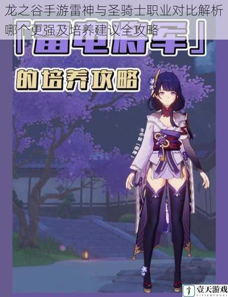 龙之谷手游雷神与圣骑士职业对比解析哪个更强及培养建议全攻略