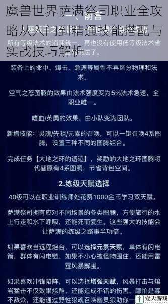 魔兽世界萨满祭司职业全攻略从入门到精通技能搭配与实战技巧解析