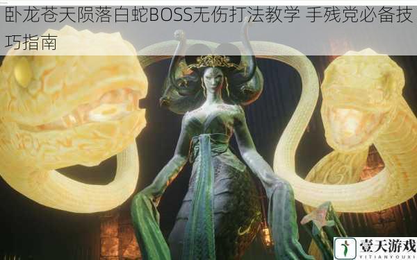 卧龙苍天陨落白蛇BOSS无伤打法教学 手残党必备技巧指南