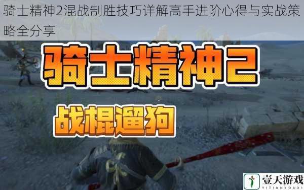 骑士精神2混战制胜技巧详解高手进阶心得与实战策略全分享