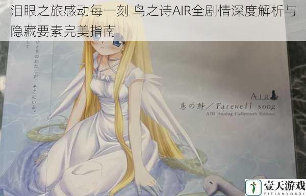 泪眼之旅感动每一刻 鸟之诗AIR全剧情深度解析与隐藏要素完美指南