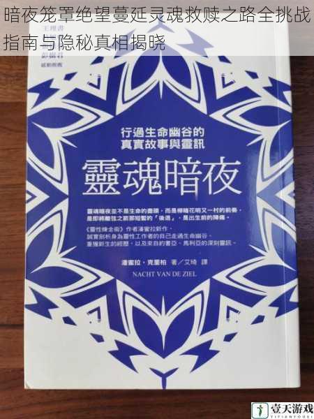 暗夜笼罩绝望蔓延灵魂救赎之路全挑战指南与隐秘真相揭晓