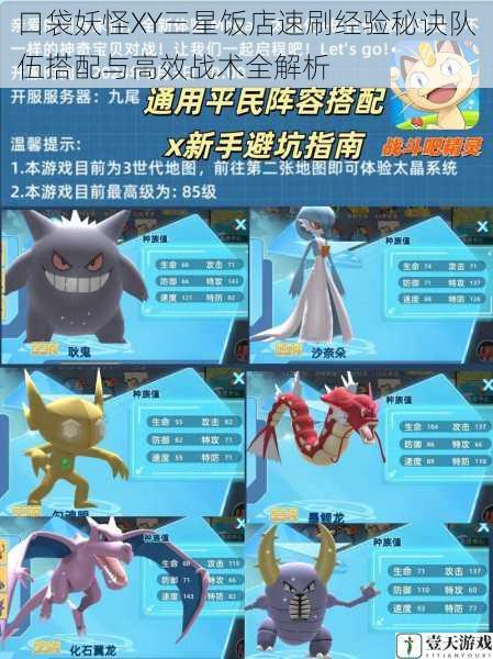 口袋妖怪XY三星饭店速刷经验秘诀队伍搭配与高效战术全解析