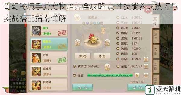 奇幻秘境手游宠物培养全攻略 属性技能养成技巧与实战搭配指南详解